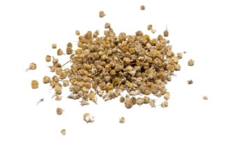 Manzanilla de Mahon, manzanilla amarga Manzanilla de Mahon, manzanilla amarga
